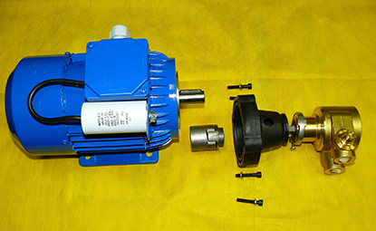 rotor pump assembly